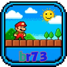 br73