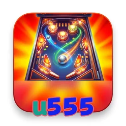 u555
